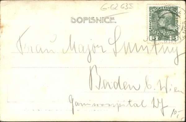 Houstky – Bild 2