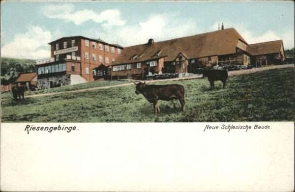 Neue Schlesische-Baude Neue_Schlesische-Baude Riesengebirge
