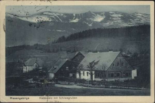 Kiesewald Riesengebirge Schneegruben