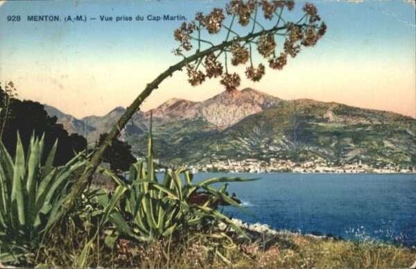 Menton Alpes Maritimes Menton Vue prise Cap Martin