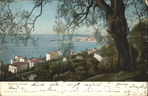 Menton Alpes Maritimes Menton Entre Oliviers