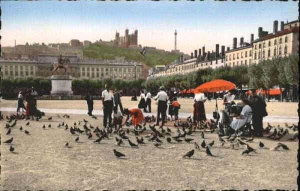 Lyon France Lyon Pigeons Place