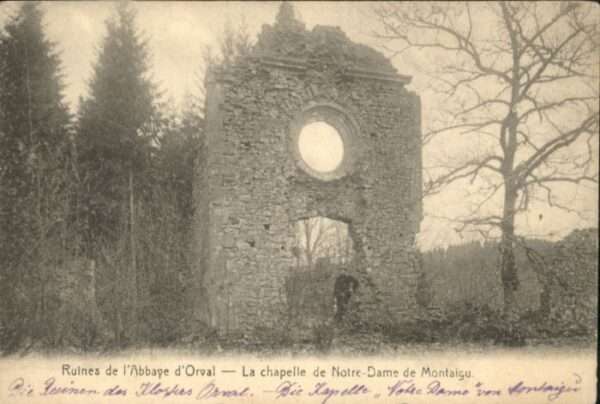 Luxemburg Wallonie Orval Ruines Abbaye Cahpelle Notre Dame