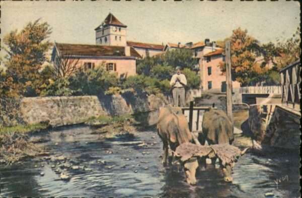 Espelette Attelage Basque