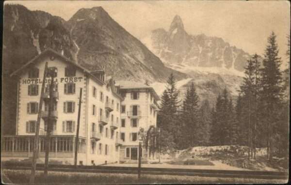 Les Tines Hotel Foret