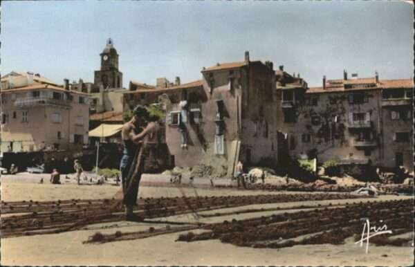 Saint-Tropez Var Saint-Tropez Port Peche Fischer Netz