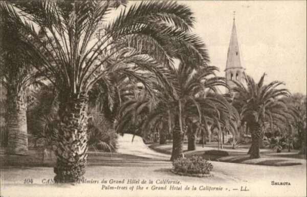 Cannes Alpes-Maritimes Cannes Grand Hotel Californie Palmen