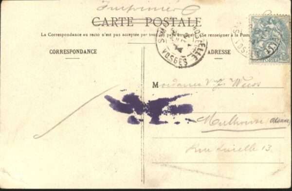 Rouge Gazon Rothen Wasen Kühe – Bild 2