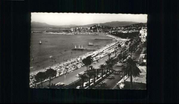 Cannes Alpes-Maritimes Cannes