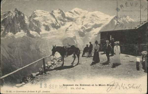 Mont Blanc Esel