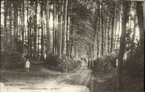 Varengeville-sur-Mer Bois