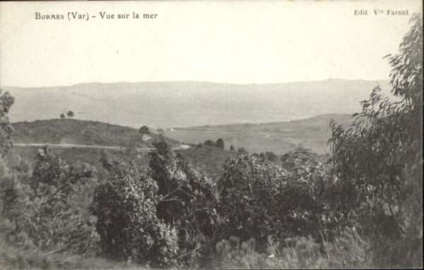 Bormes-les-Mimosas