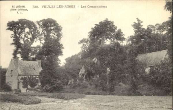 Veules-les-Roses Cressonnieres