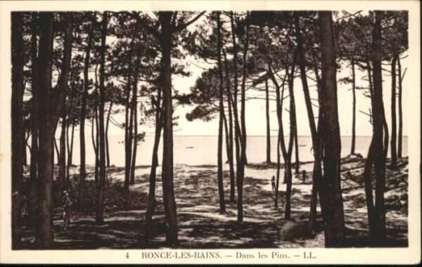 Ronce les Bains