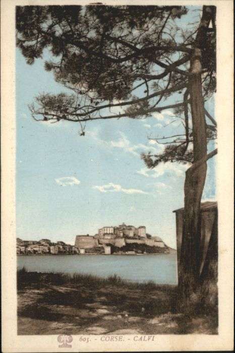 Calvi