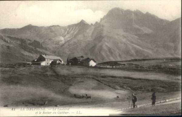 Dauphine