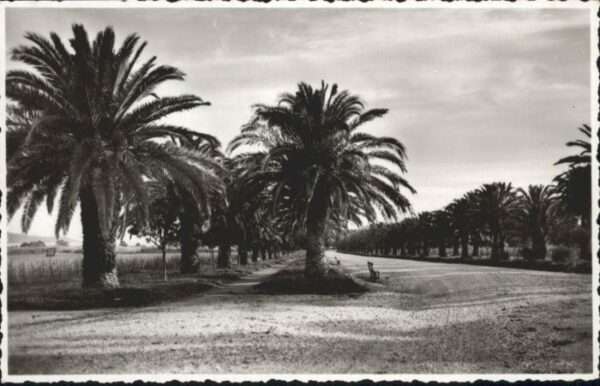 Cavalaire-sur-Mer Allees de Pardigon