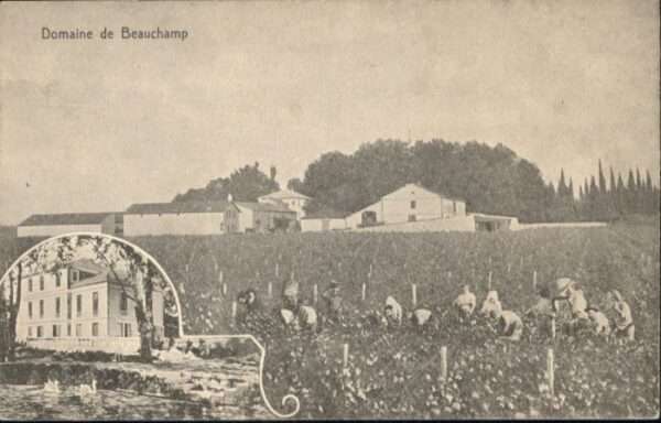 Beauchamp
