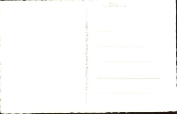 Sigriswil Niesen Simmenfluh – Bild 2