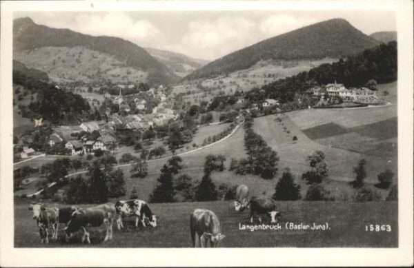 Langenbruck Kühe