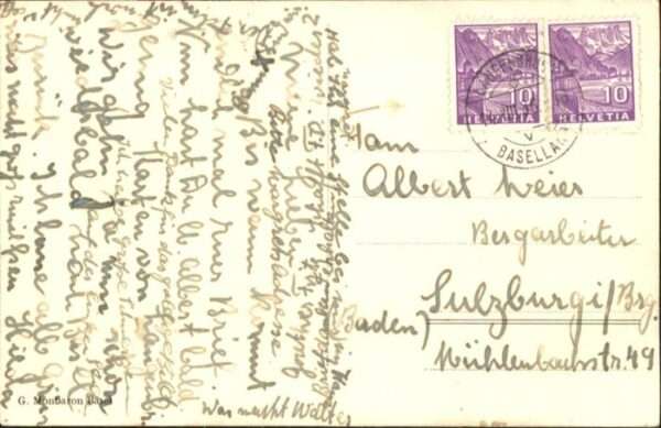 Langenbruck Kühe – Bild 2