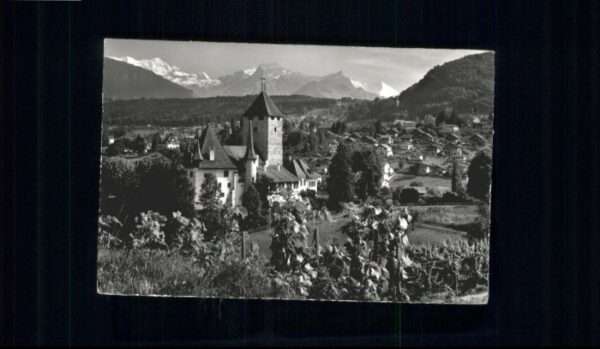 Spiez BE Spiez Schloss Rebberg BlümlisalpAermigh