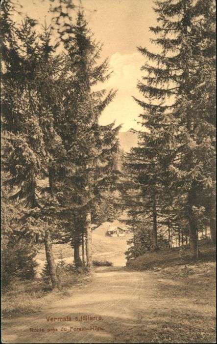 Sierre VS Sierre Route Forest Hotel
