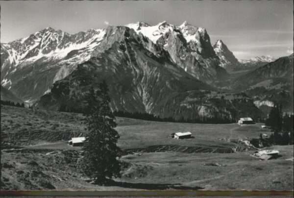 Gummen Alp Hasliberg Wetterhorngruppe