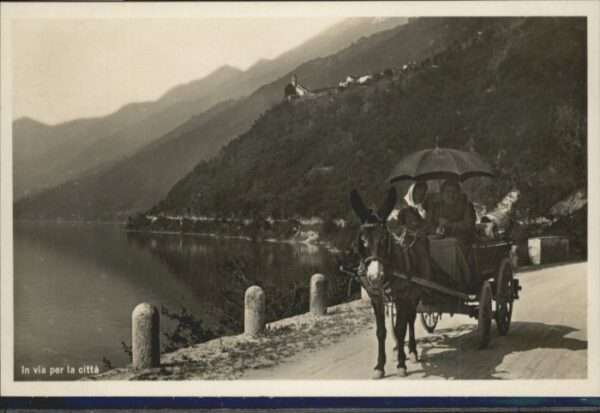 Zuerich Photo Wehrli] Esel Kutsche