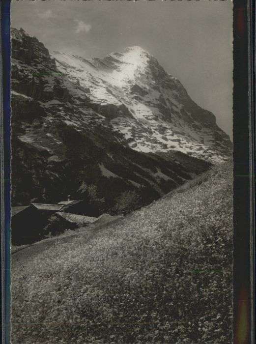 Grindelwald Eiger