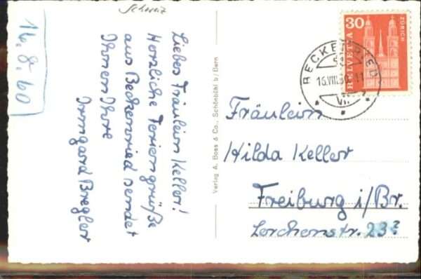 Beckenried Fliegeraufnahme Vierwaldstättersee – Bild 2
