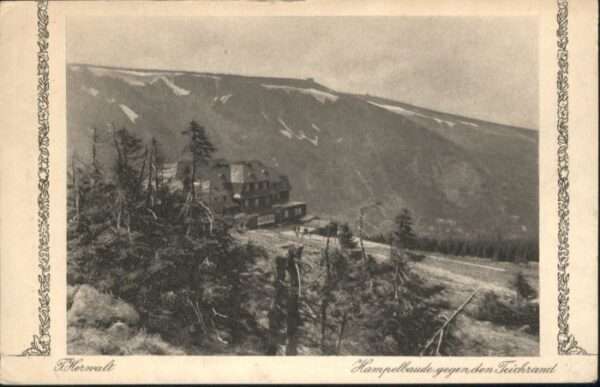 Hampelbaude Teichrand