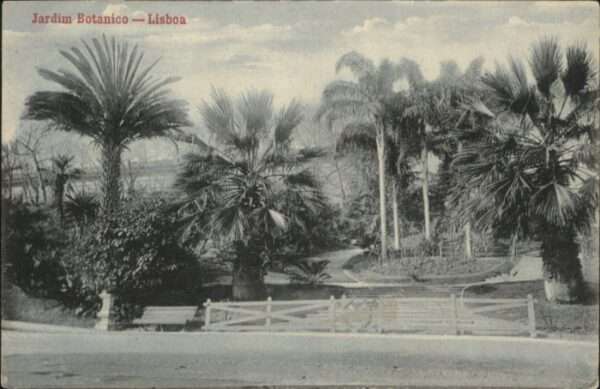 Lisboa Lissabon Jardim Botanico