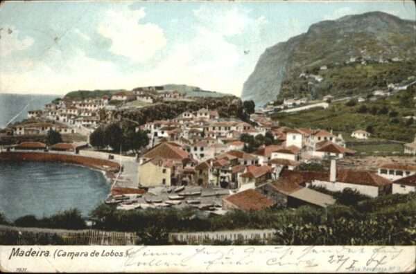 Camara Madeira Lobos