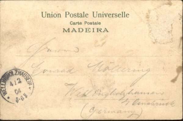 Camara Madeira Lobos – Bild 2