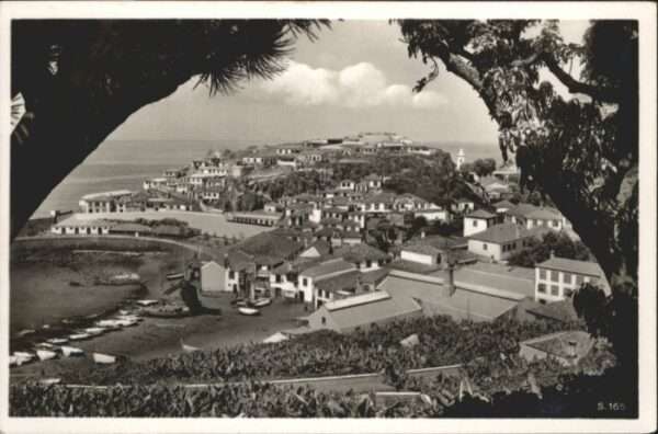 Camara Madeira