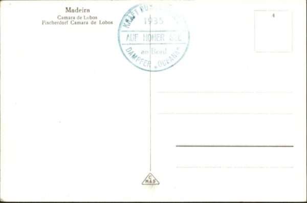 Camara Madeira – Bild 2