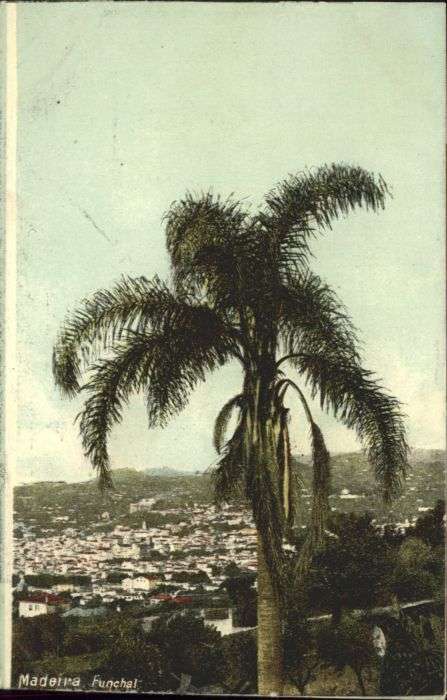 Funchal Madeira