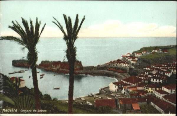 Madeira Portugal Madeira Camara de Lobos