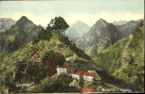Cruzimbas Madeira