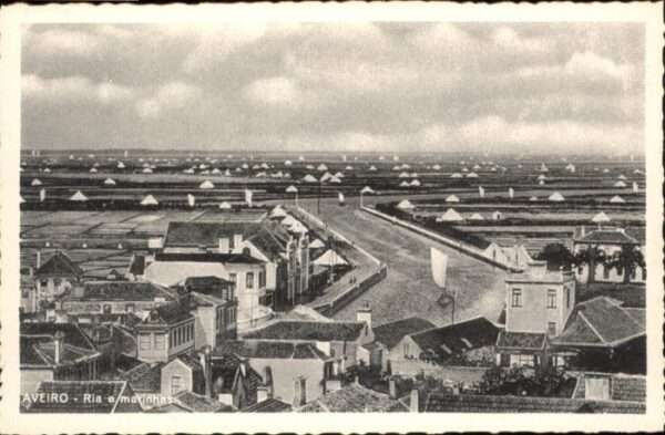 Aveiro Ria marinhas