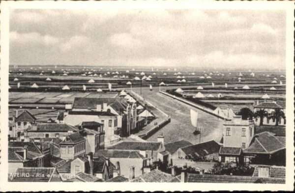 Aveiro Ria marinhas