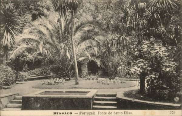 Bussaco Fonte de Santo Elias