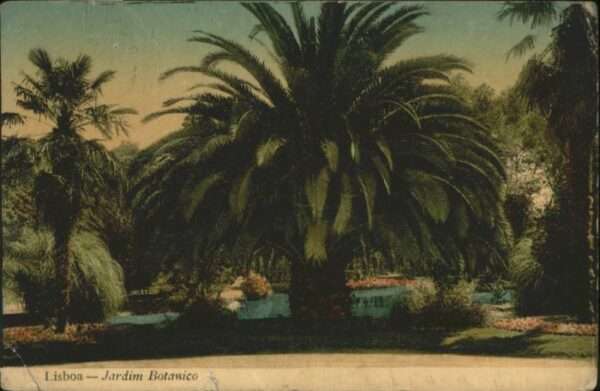 Lisboa Lissabon Jardim Botanico