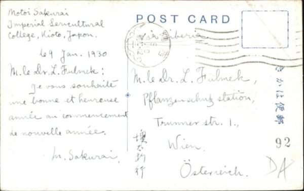 Kioto [Handschriftlich] Cherry Chidorigafucht – Bild 2