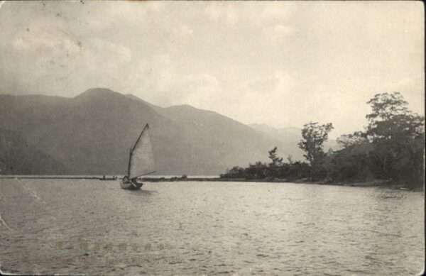 Nikko Schiff