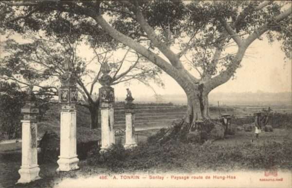 Sontay Tonkin Paysage Route Hung Hoa