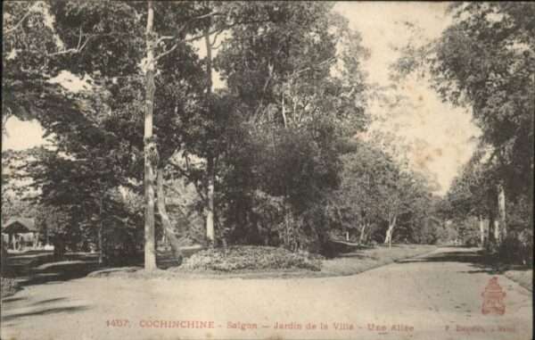 Saigon Cochinchine Jardin Ville Une Allee
