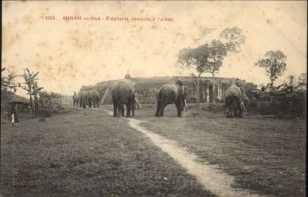 Hue Annam Vietnam Hue Annam Elephants conduits Arene