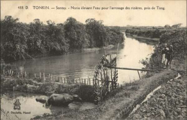 Sontay Tonkin Noria elevant l eau pour l arros